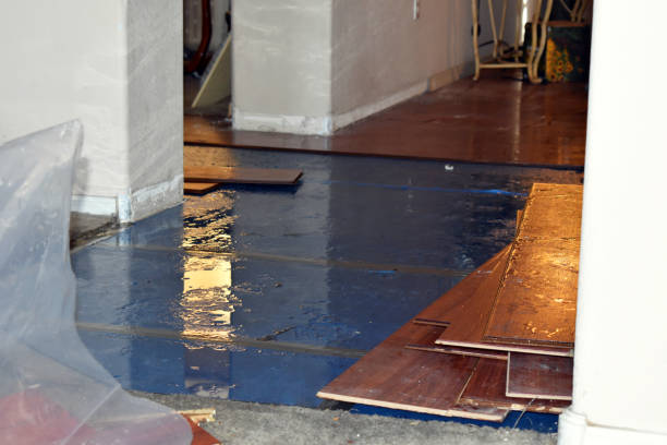 Professional Burst Pipe Water Damage technician working in Willow Grove, TX